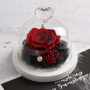 Mini rose éternelle