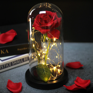Forever Rose LED