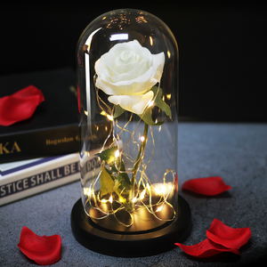 Forever Rose LED